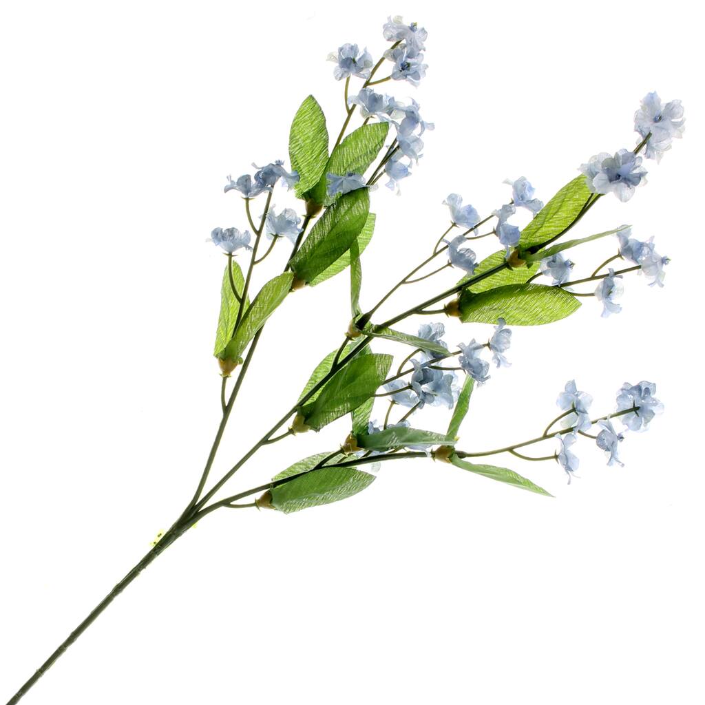 MP012020_1.jpg img